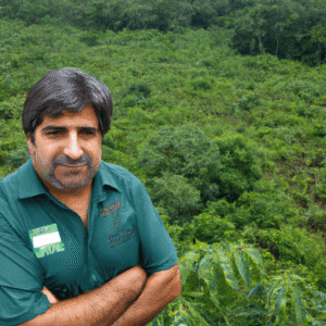 Vista aérea da Amazônia: desafios da proteção ambiental frente à exploração de petróleo